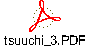tsuuchi_3.PDF