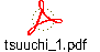 tsuuchi_1.pdf
