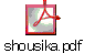 shousika.pdf