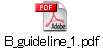 B_guideline_1.pdf