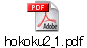 hokoku2_1.pdf