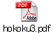 hokoku3.pdf
