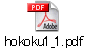 hokoku1_1.pdf