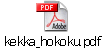 kekka_hokoku.pdf