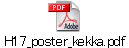 H17_poster_kekka.pdf