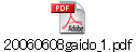 20060608gaido_1.pdf