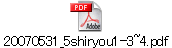 20070531_5shiryou1-3~4.pdf