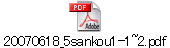 20070618_5sankou1-1~2.pdf