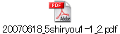 20070618_5shiryou1-1_2.pdf