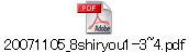 20071105_8shiryou1-3~4.pdf