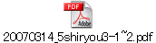 20070314_5shiryou3-1~2.pdf