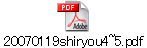 20070119shiryou4~5.pdf
