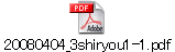 20080404_3shiryou1-1.pdf