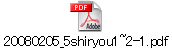 20080205_5shiryou1~2-1.pdf