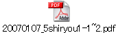 20070107_5shiryou1-1~2.pdf