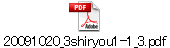 20091020_3shiryou1-1_3.pdf