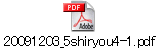 20091203_5shiryou4-1.pdf