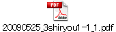 20090525_3shiryou1-1_1.pdf