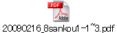 20090216_8sankou1-1~3.pdf