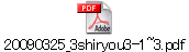 20090325_3shiryou3-1~3.pdf