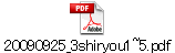 20090925_3shiryou1~5.pdf