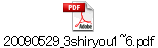 20090529_3shiryou1~6.pdf