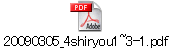 20090305_4shiryou1~3-1.pdf