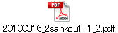 20100316_2sankou1-1_2.pdf