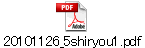 20101126_5shiryou1.pdf