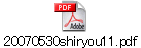 20070530shiryou11.pdf