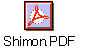 Shimon.PDF
