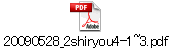 20090528_2shiryou4-1~3.pdf