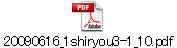 20090616_1shiryou3-1_10.pdf
