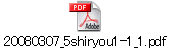 20080307_5shiryou1-1_1.pdf