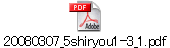 20080307_5shiryou1-3_1.pdf