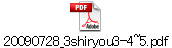 20090728_3shiryou3-4~5.pdf