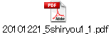 20101221_5shiryou1_1.pdf