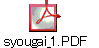 syougai_1.PDF