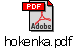 hokenka.pdf