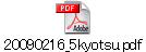 20090216_5kyotsu.pdf