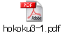 hokoku3-1.pdf