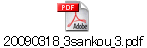 20090318_3sankou_3.pdf