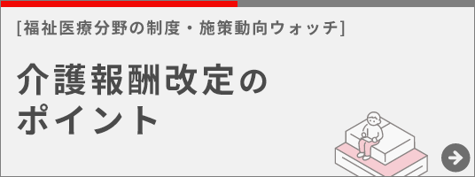 ����V����̃|�C���g