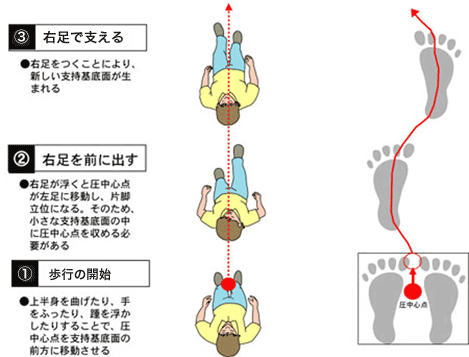 歩行(右足から出す場合) 歩行(右足から出す場合)