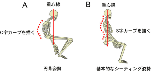 背骨(脊柱)のカーブ 背骨(脊柱)のカーブ