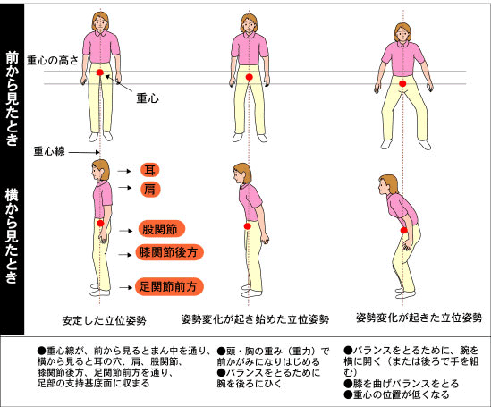 さまざまな立位姿勢 さまざまな立位姿勢
