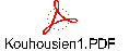 Kouhousien1.PDF