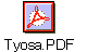 Tyosa.PDF