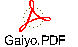 Gaiyo.PDF