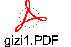 gizi1.PDF